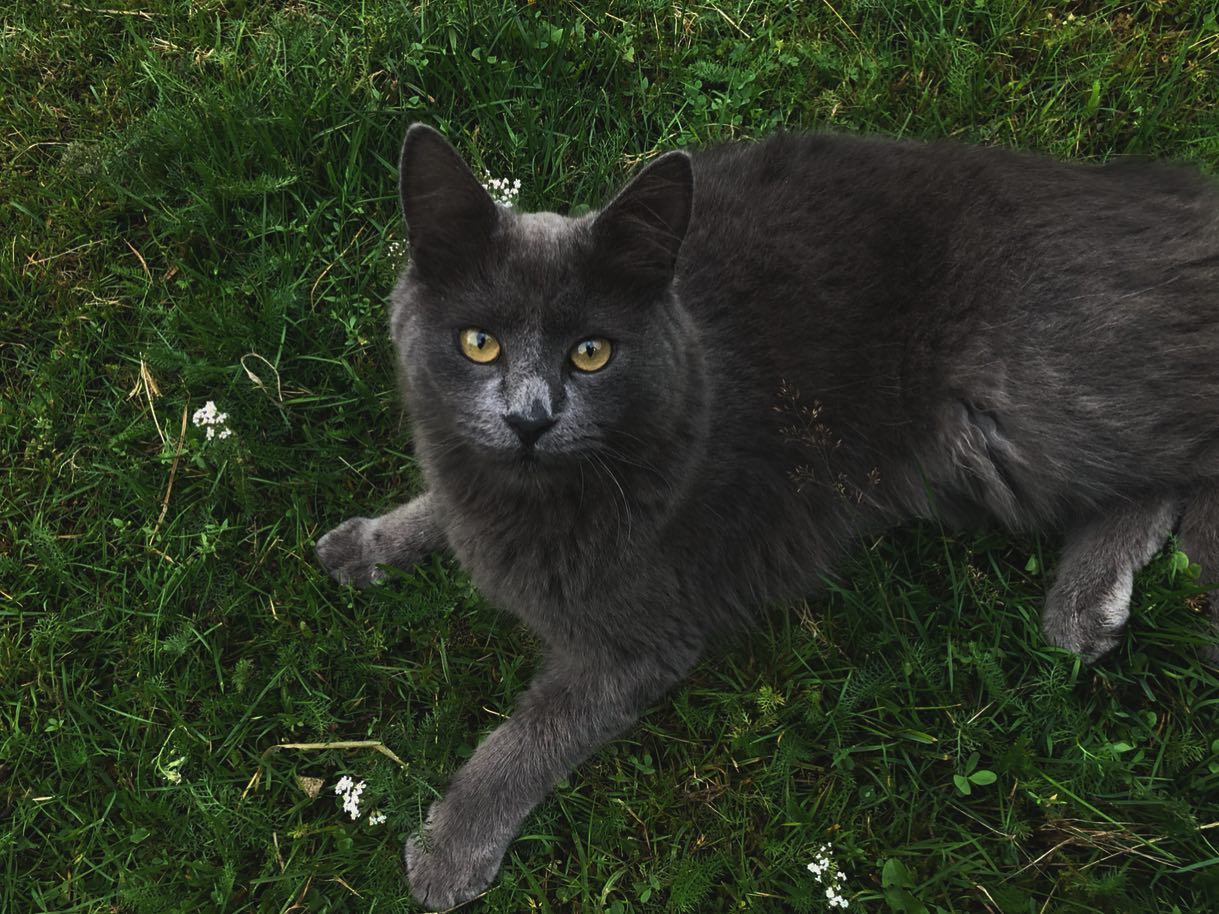 hilaxkitty instagram image archive image