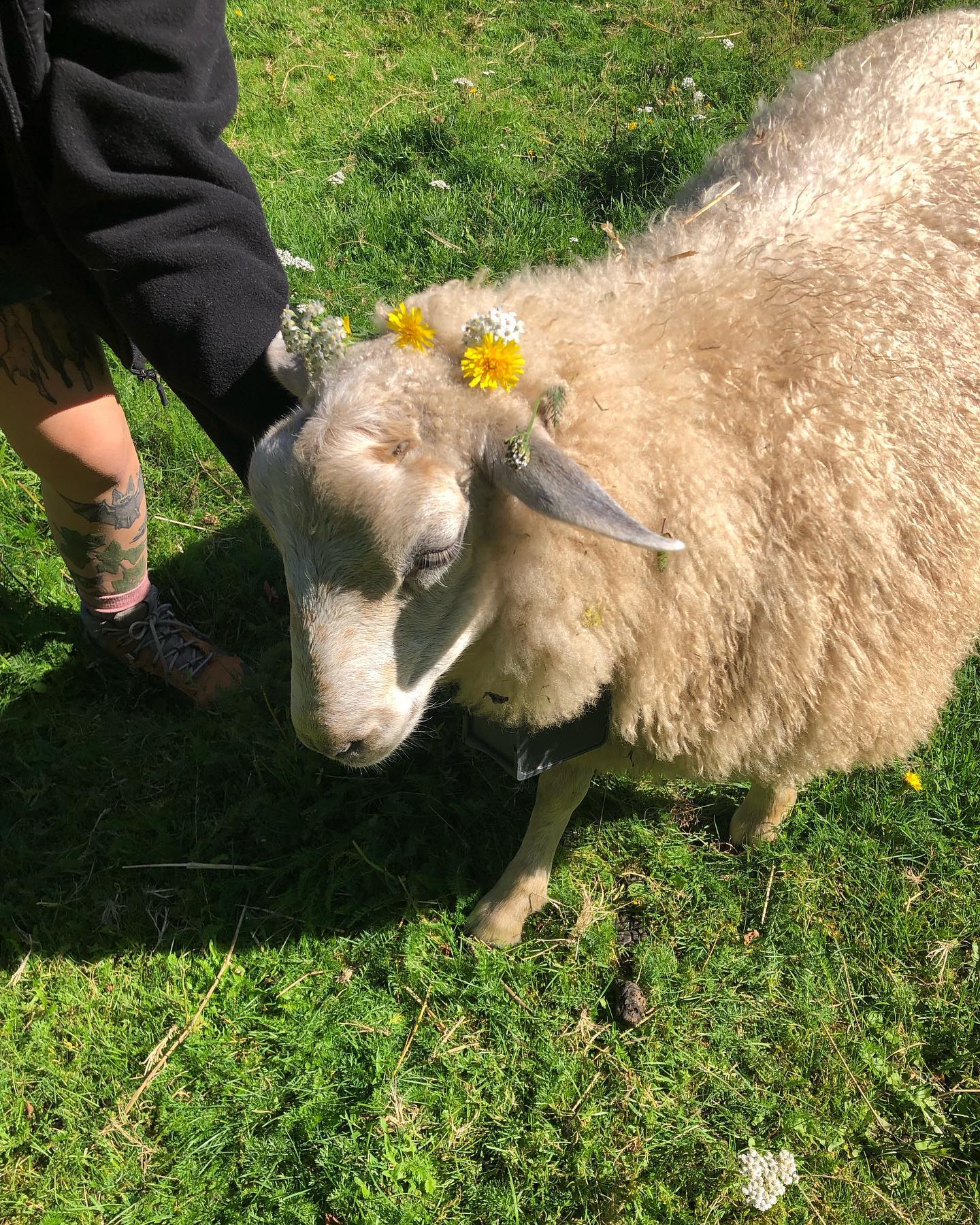 hilaxkitty instagram image archive image