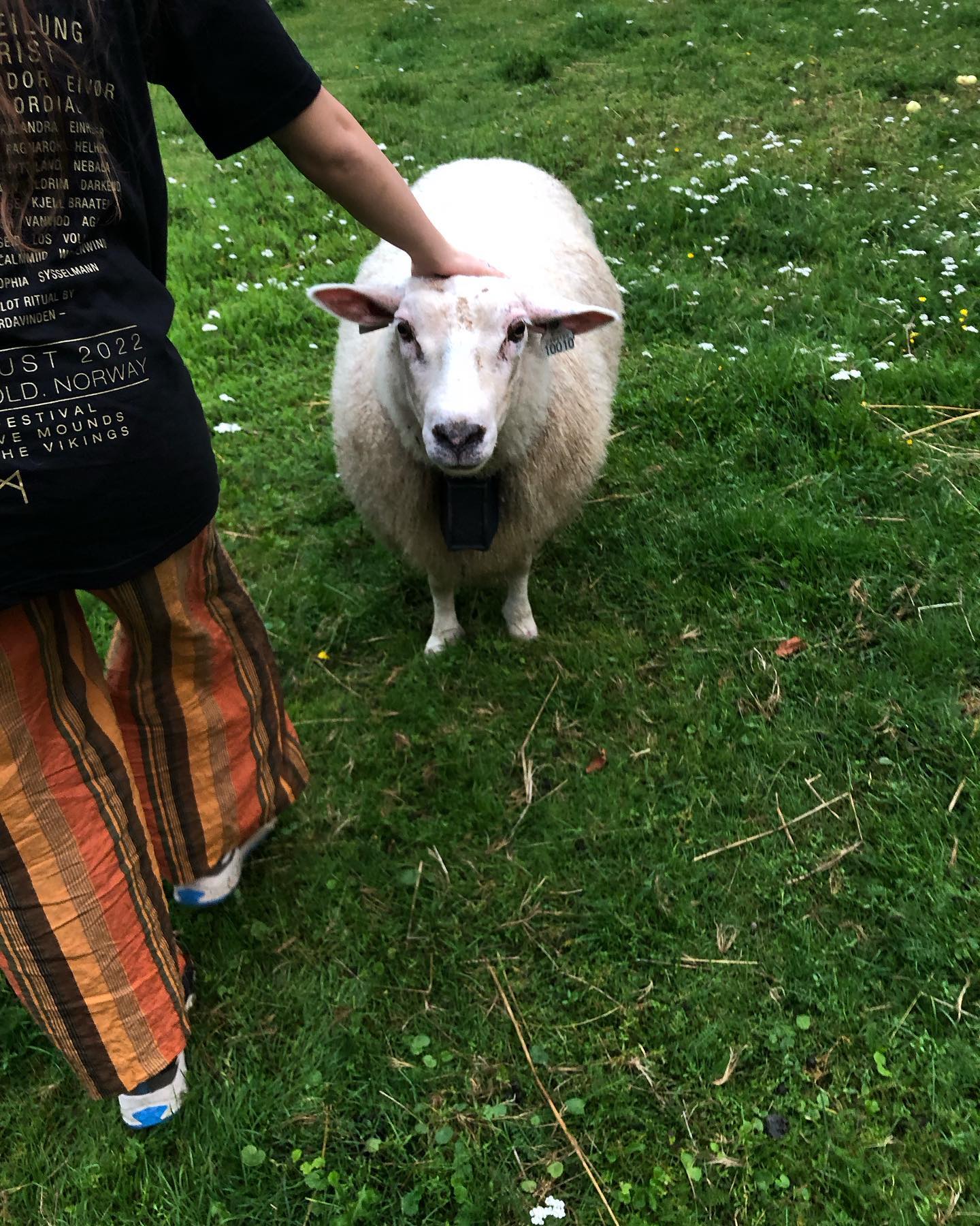 hilaxkitty instagram image archive image