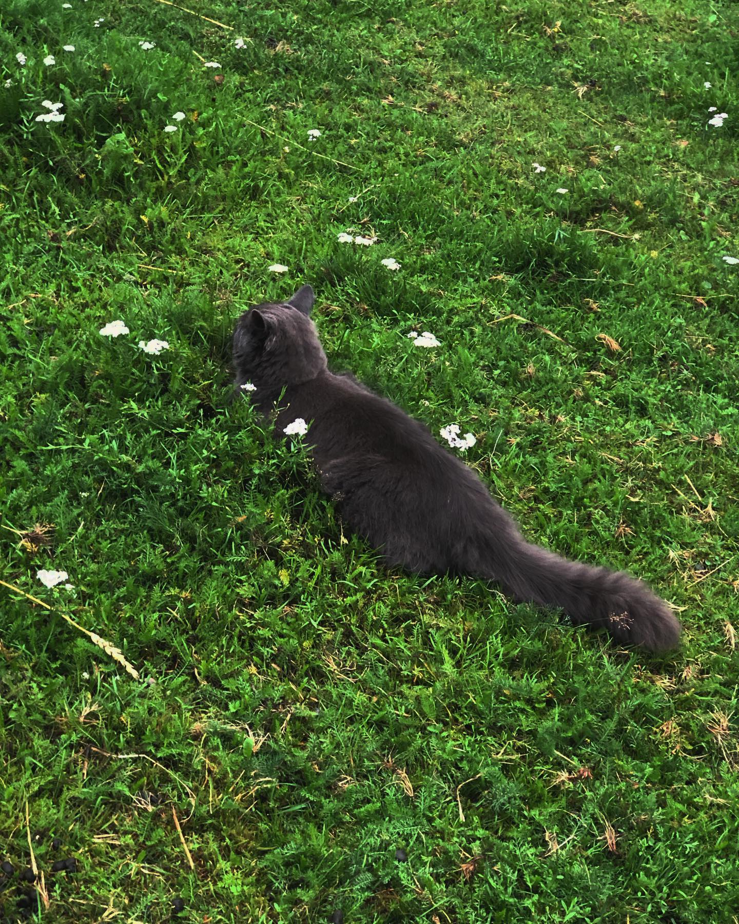 hilaxkitty instagram image archive image