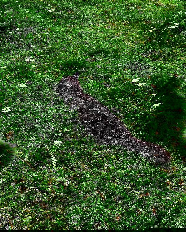 hilaxkitty image ~ Altpins