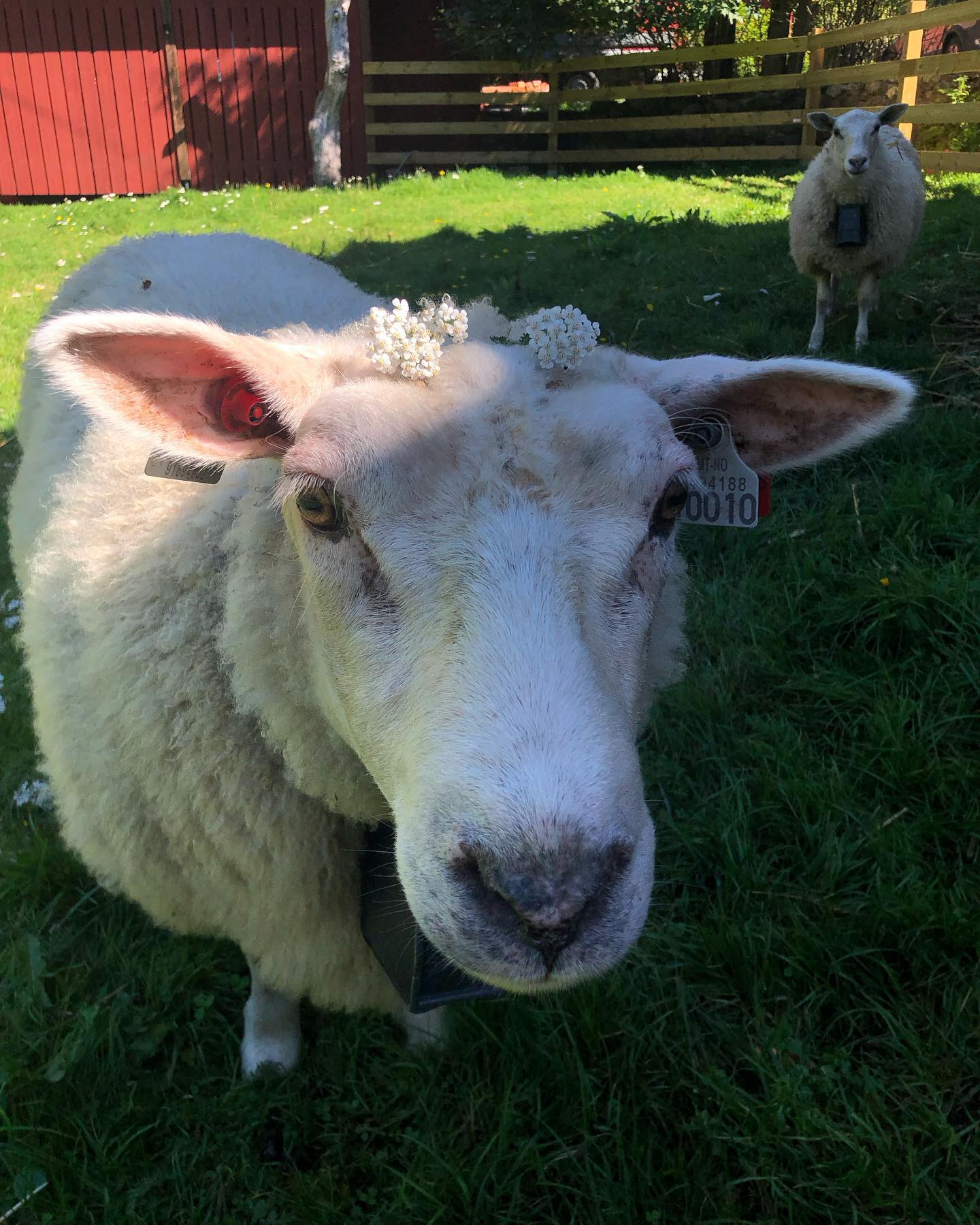 hilaxkitty instagram image archive image