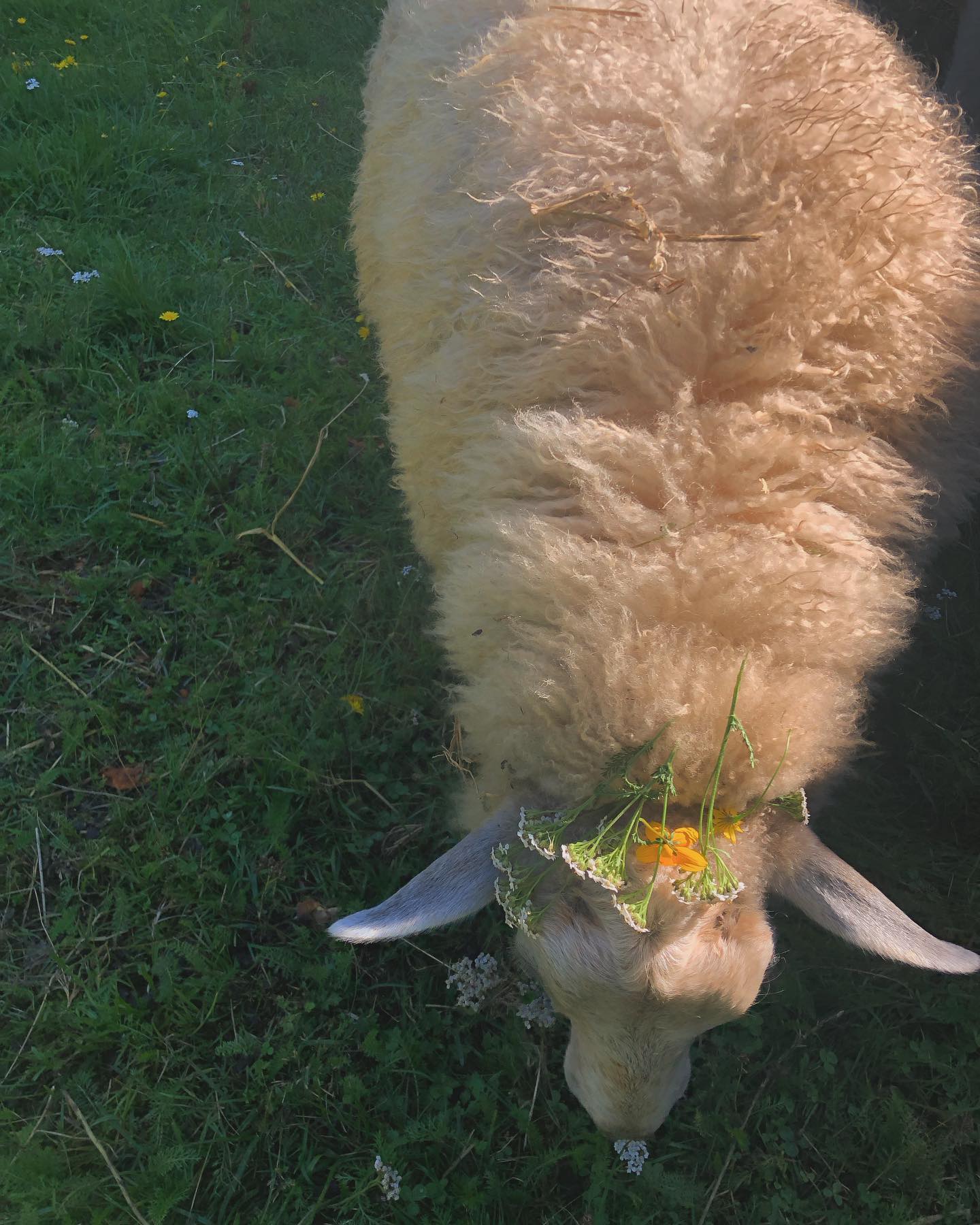 hilaxkitty instagram image archive image