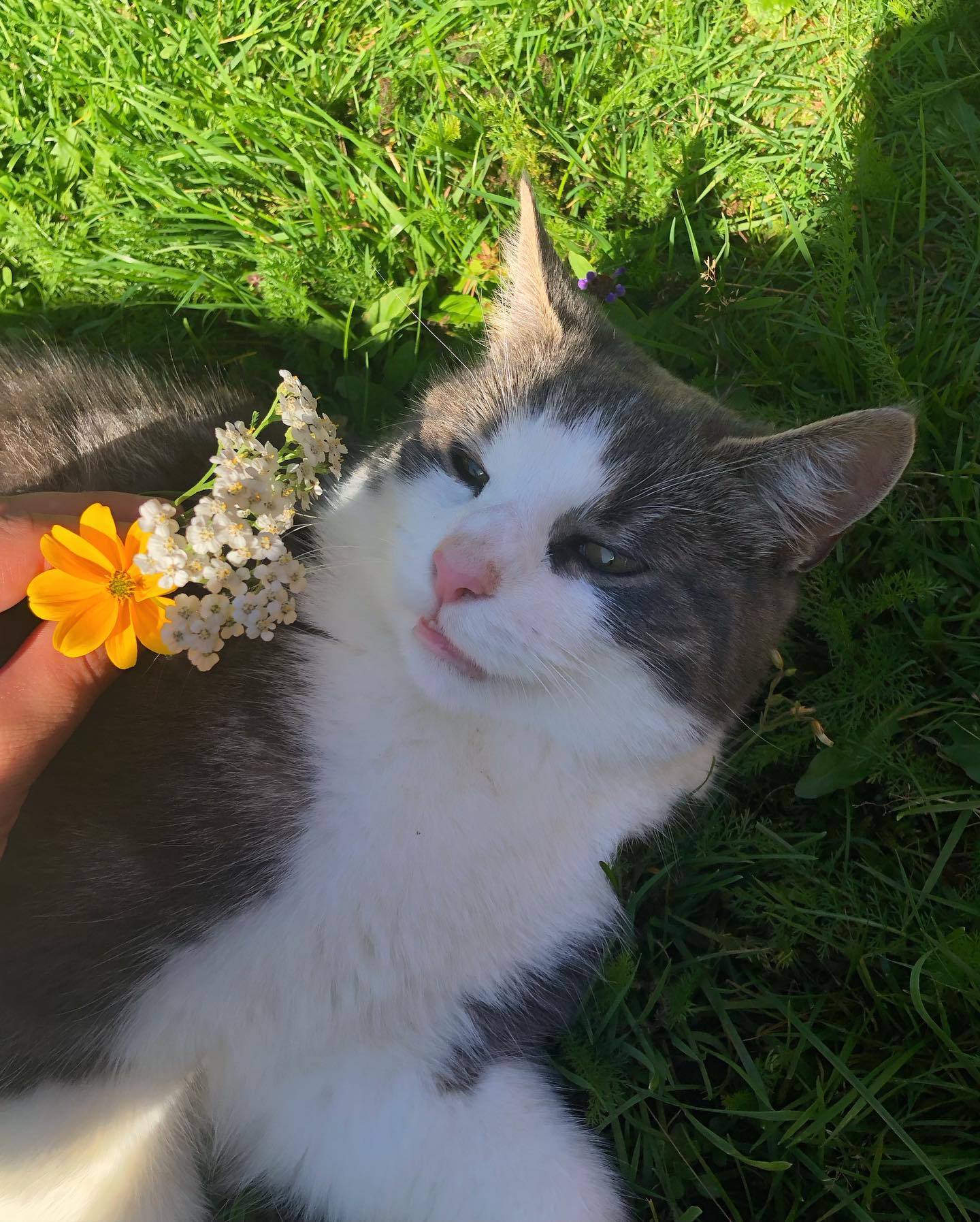 hilaxkitty instagram image archive image