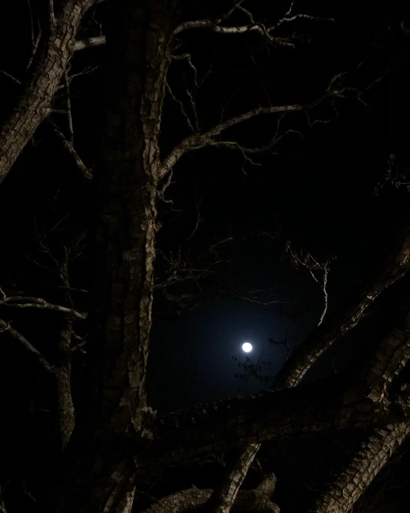 hilaxkitty instagram image archive image