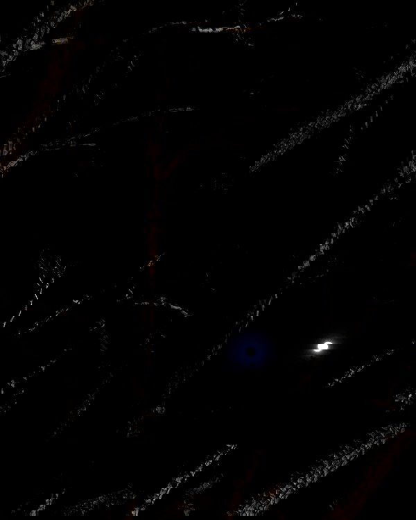 hilaxkitty image ~ Altpins