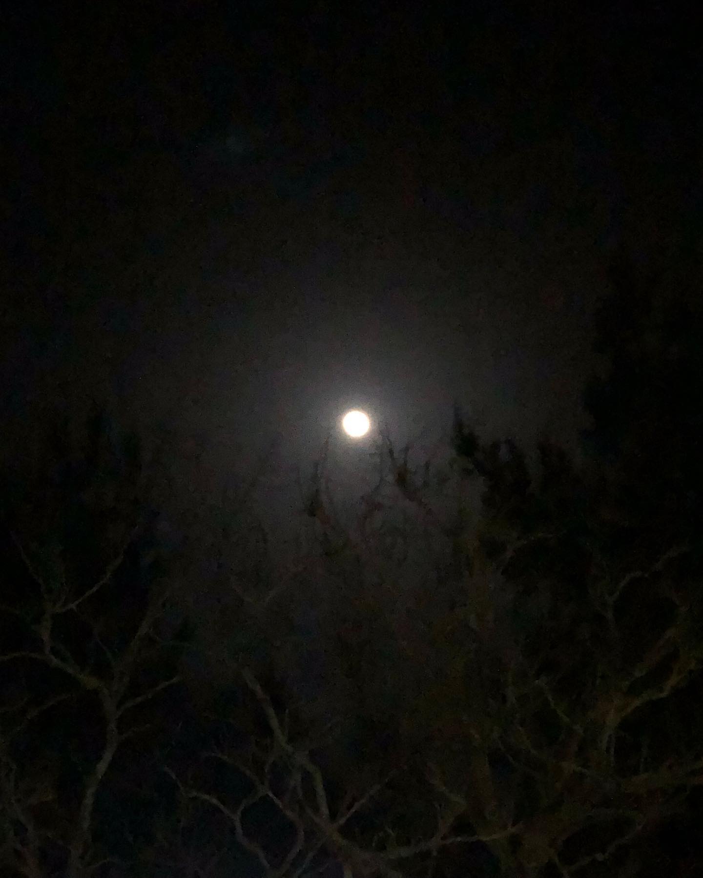 hilaxkitty instagram image archive image