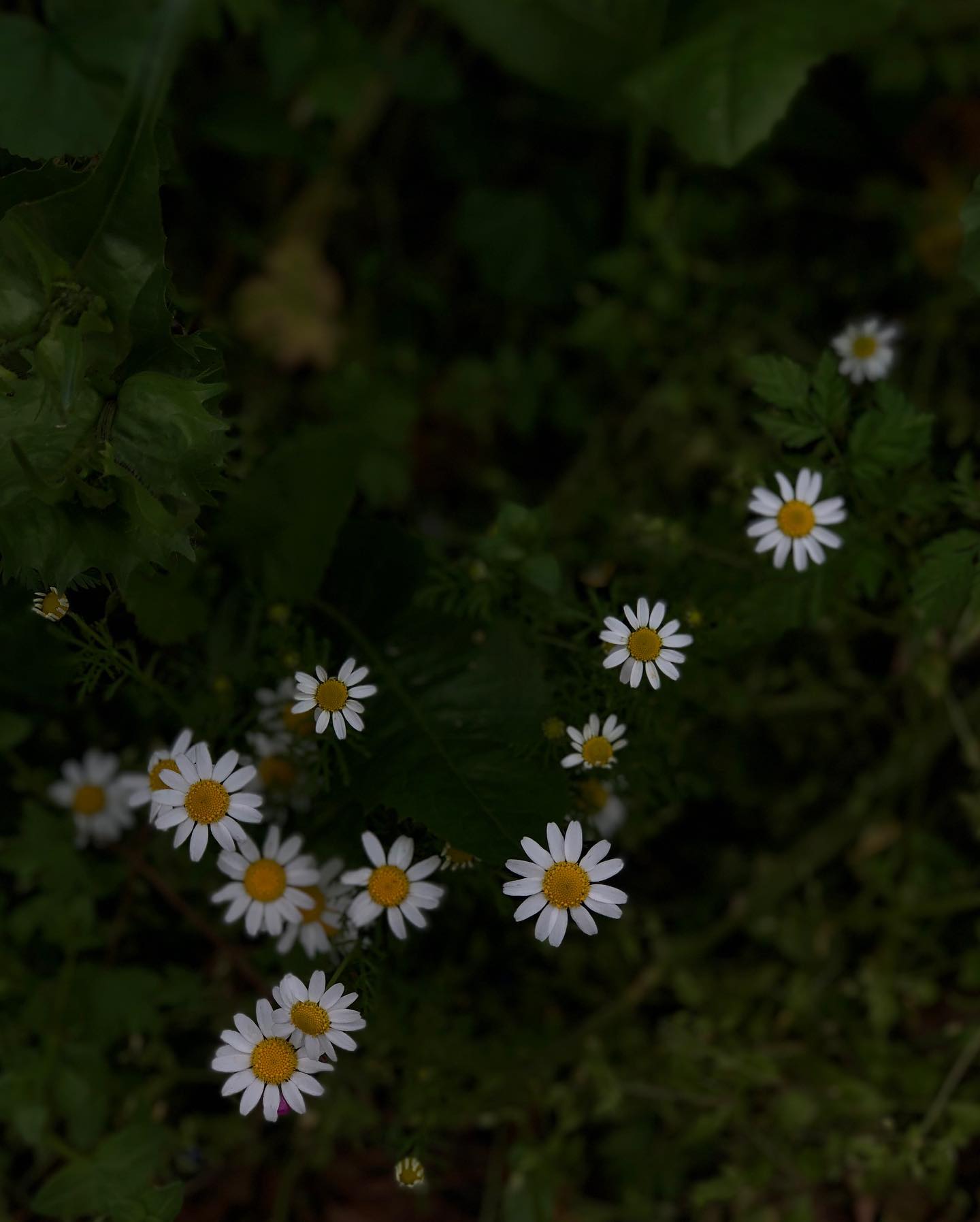 hilaxkitty instagram image archive image