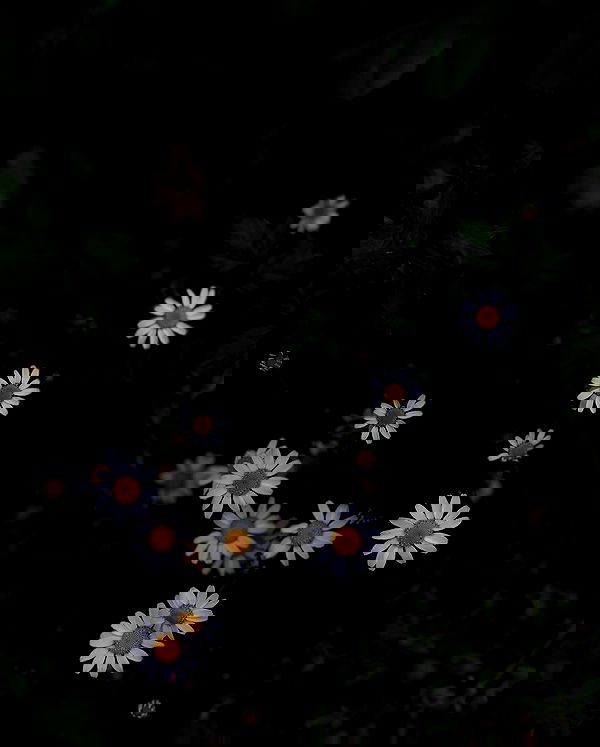 hilaxkitty image ~ Altpins