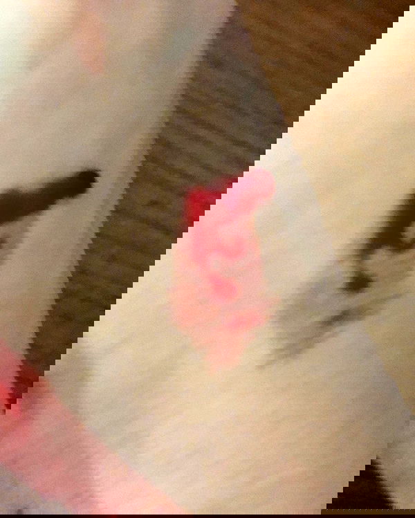 hilaxkitty image ~ Altpins