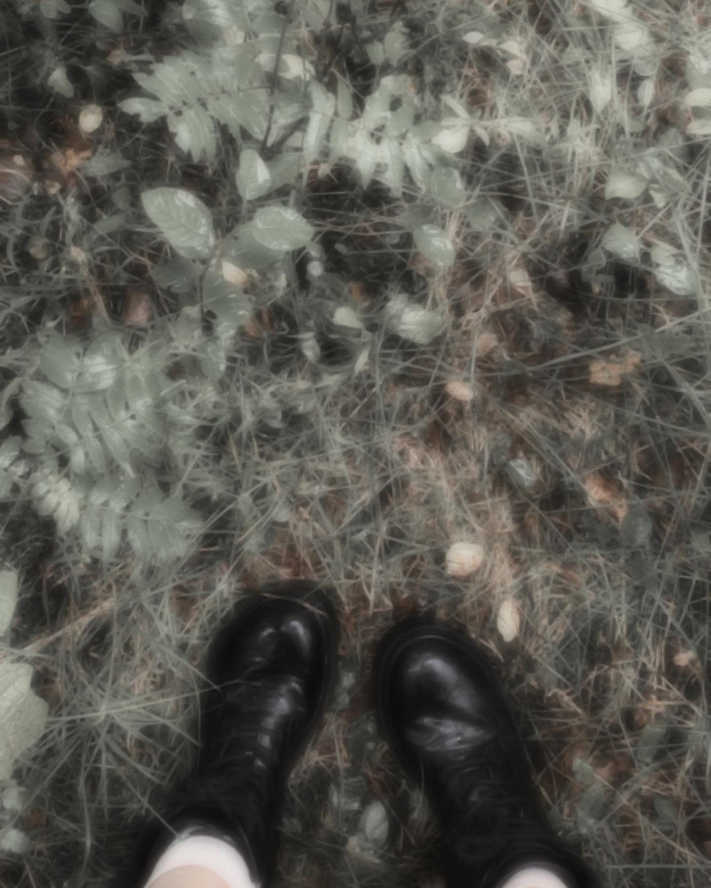 hilaxkitty instagram image archive image