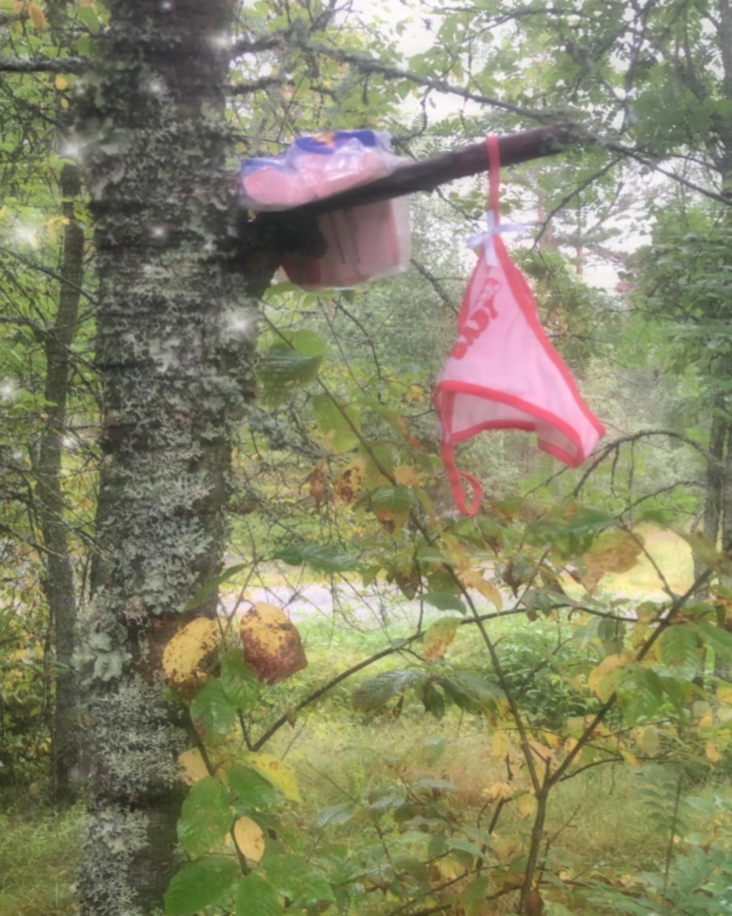 hilaxkitty instagram image archive image