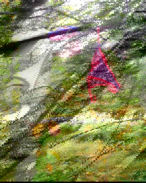 hilaxkitty image ~ Altpins