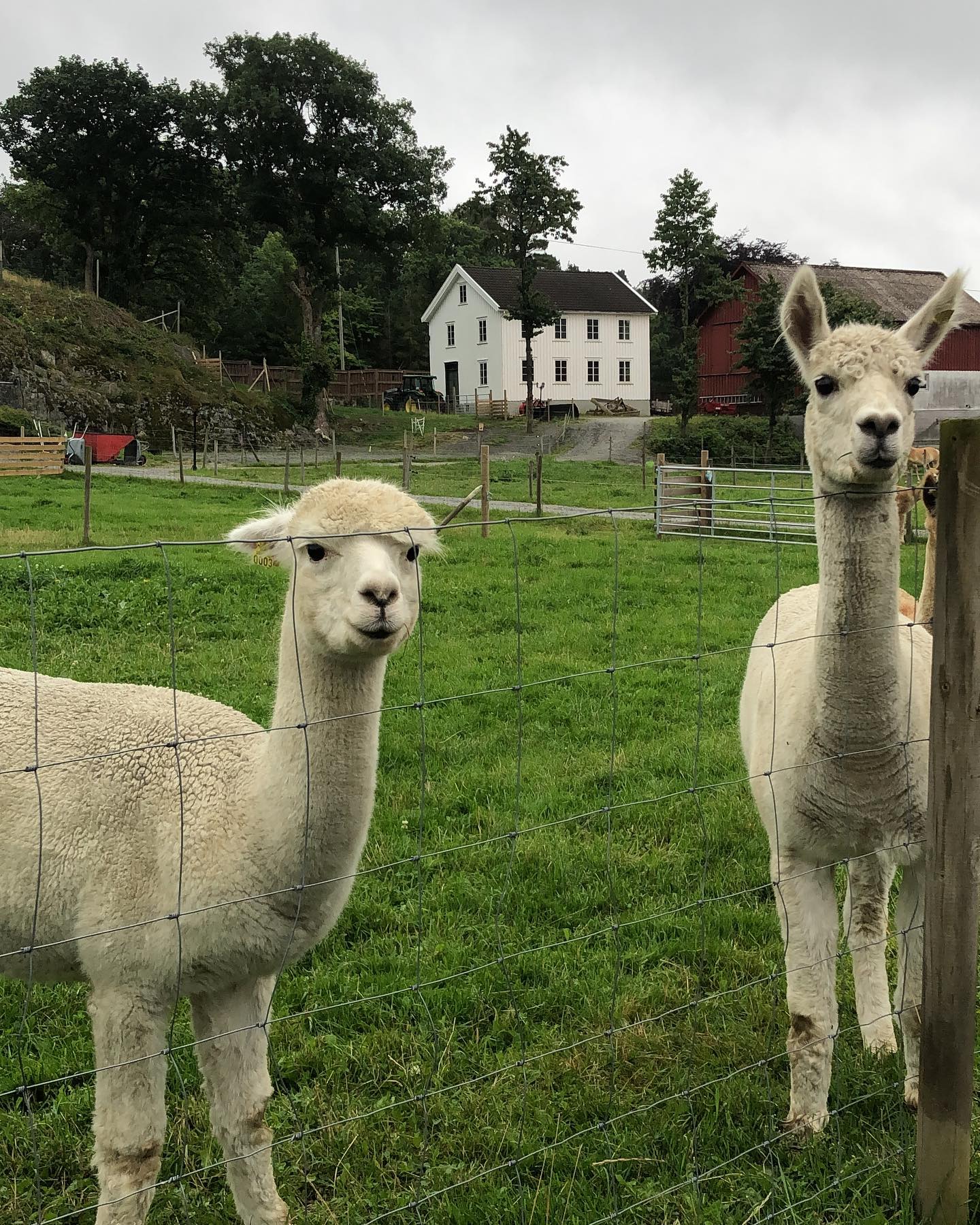 hilaxkitty instagram image archive image