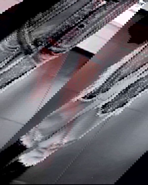 hilaxkitty image ~ Altpins