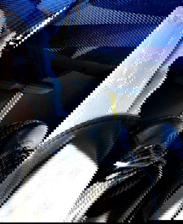 hilaxkitty image ~ Altpins