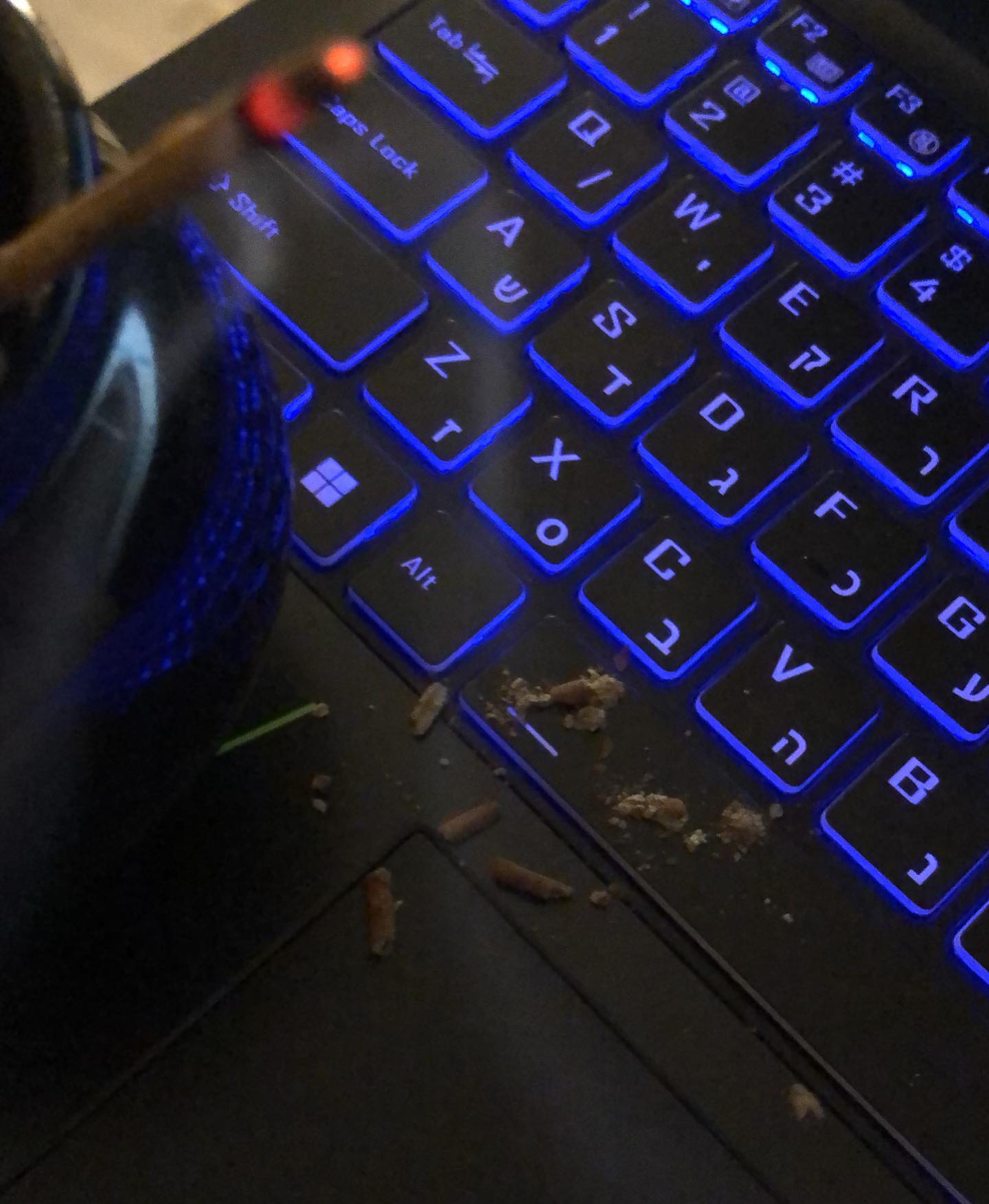 hilaxkitty instagram image archive image