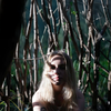 hilla.sela Altpins Profile Picture