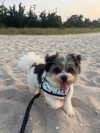 hopesantos Altpins Profile Picture