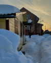 howeversnowy Altpins Profile Picture