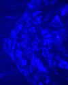 howeversnowy Altpins Profile Picture
