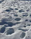 howeversnowy Altpins Profile Picture