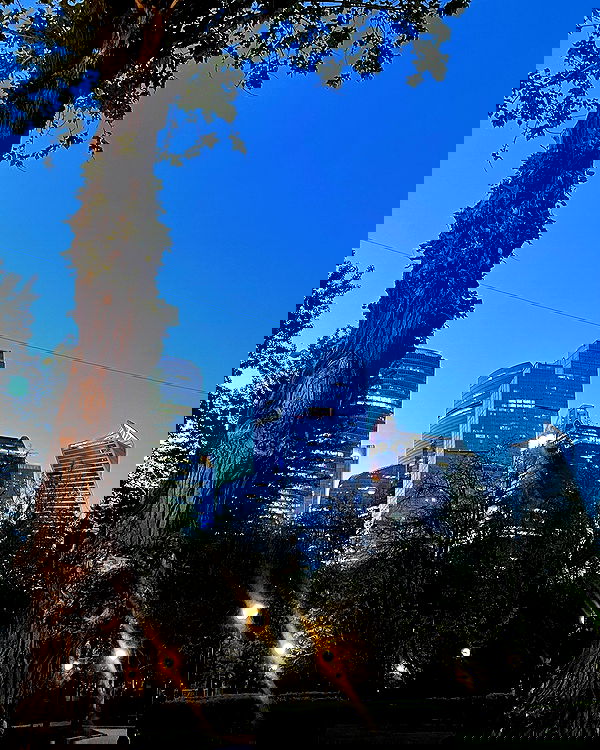 howeversnowy howeversnowy archive image