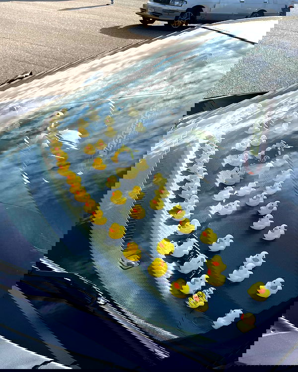 howeversnowy howeversnowy archive image