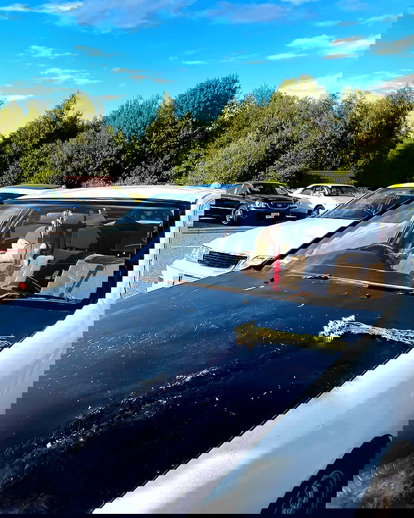 howeversnowy howeversnowy archive image