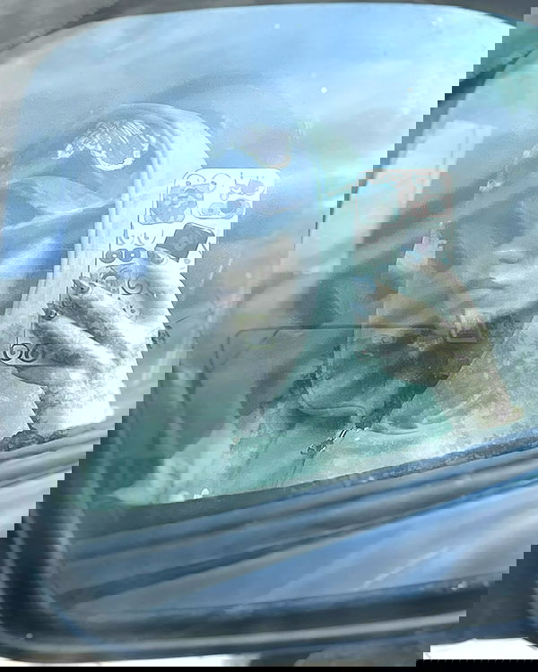 howeversnowy howeversnowy archive image