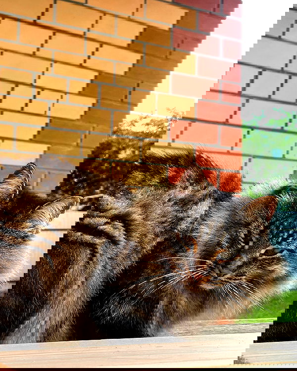 howeversnowy howeversnowy archive image