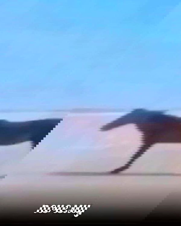 howeversnowy howeversnowy archive image