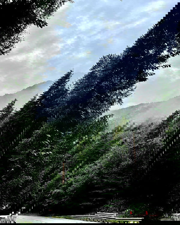 howeversnowy howeversnowy archive image