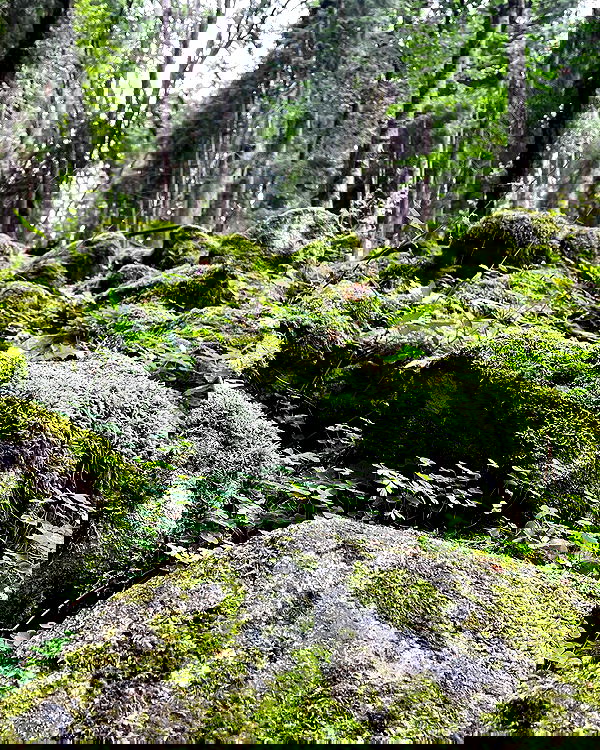 howeversnowy howeversnowy archive image