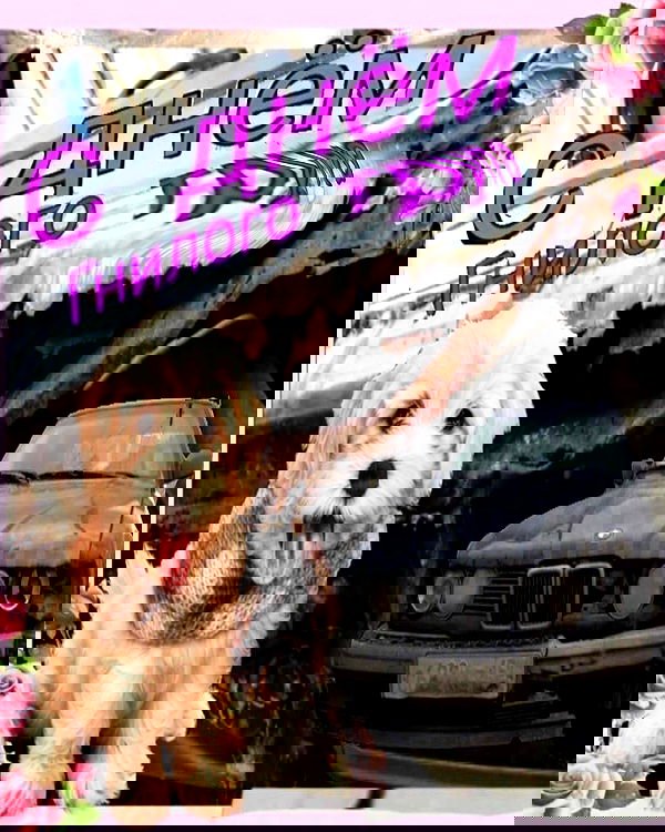 howeversnowy howeversnowy archive image