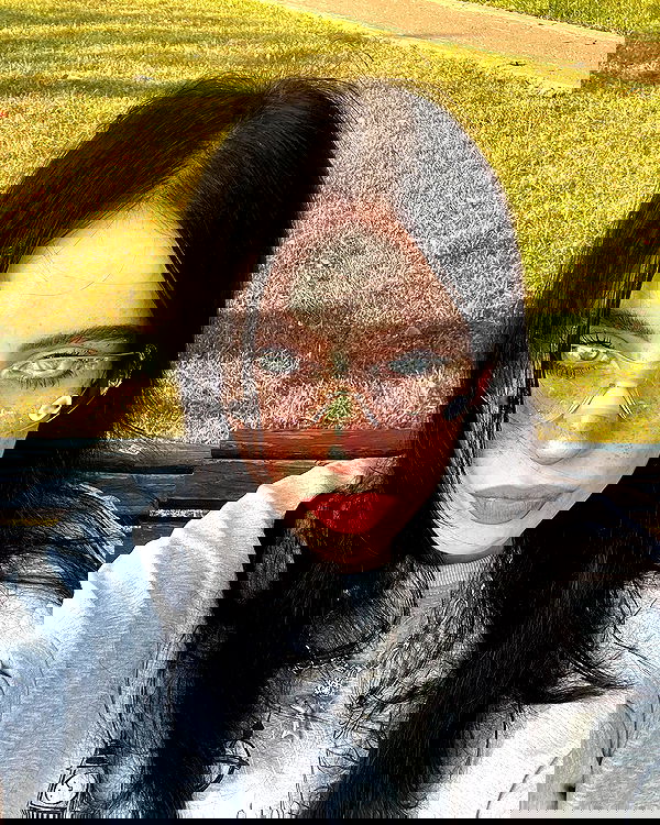 howeversnowy howeversnowy archive image