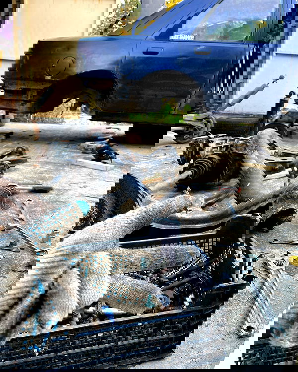 howeversnowy howeversnowy archive image