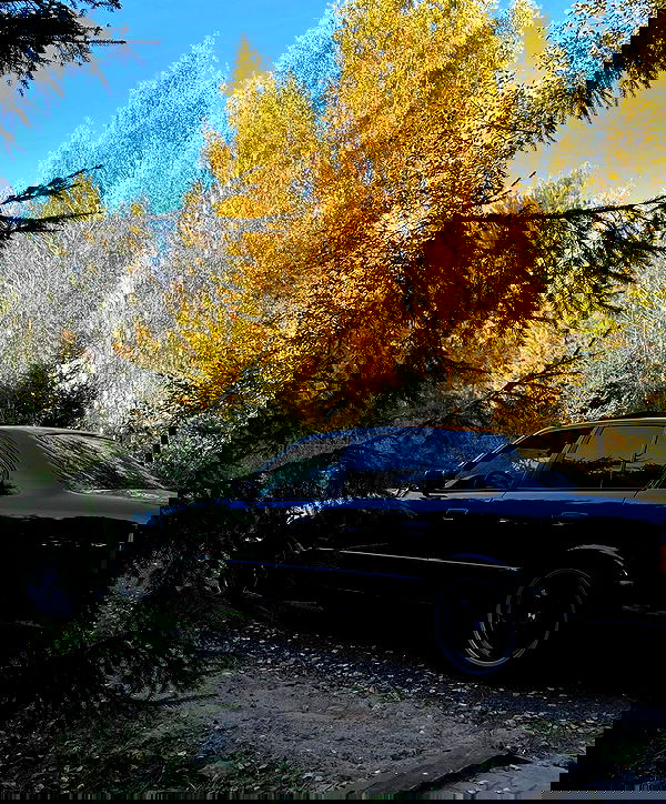 howeversnowy howeversnowy archive image