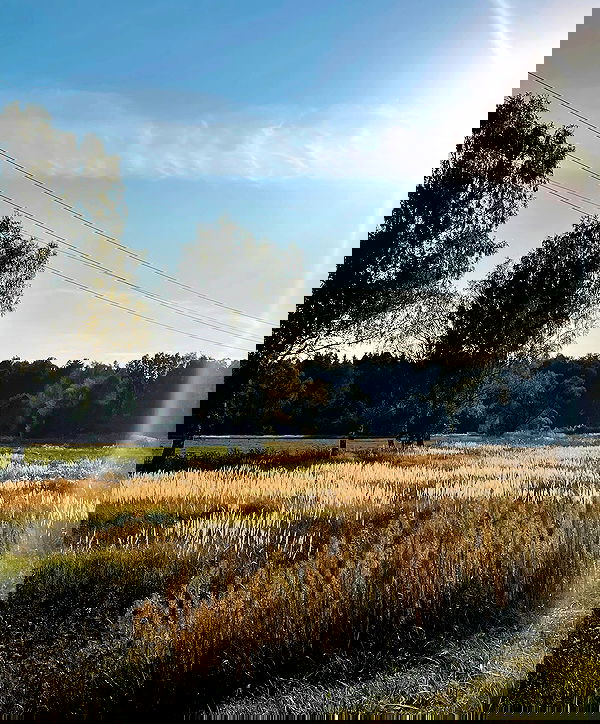 howeversnowy howeversnowy archive image