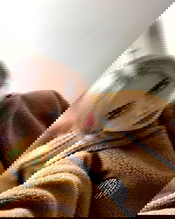 howeversnowy howeversnowy archive image