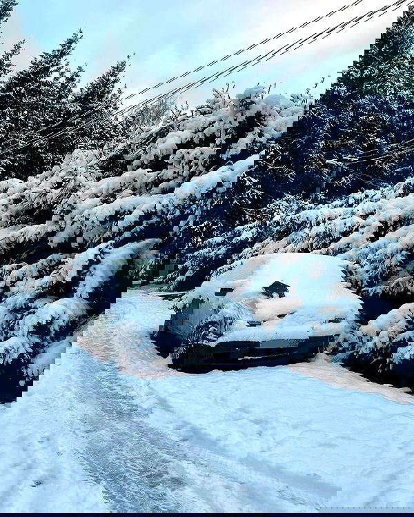 howeversnowy howeversnowy archive image