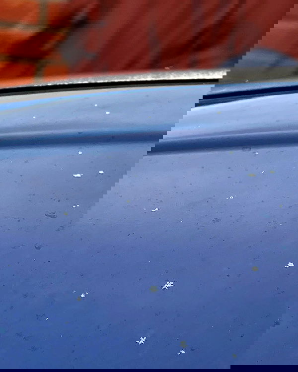 howeversnowy howeversnowy archive image