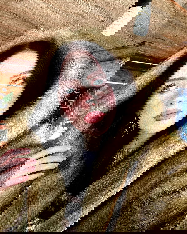 howeversnowy howeversnowy archive image