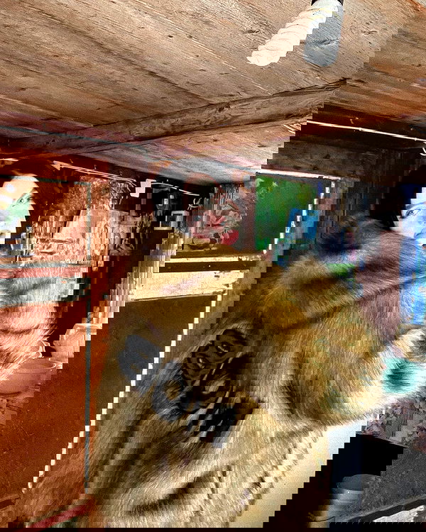 howeversnowy howeversnowy archive image