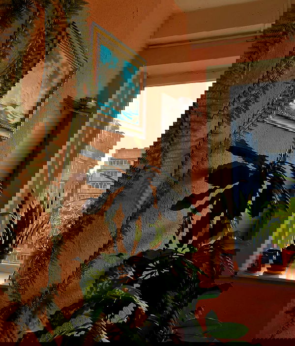 howeversnowy howeversnowy archive image