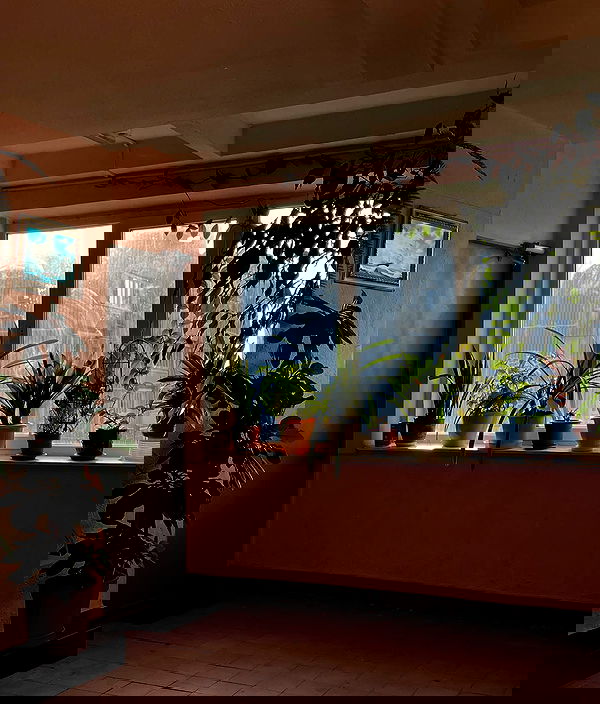 howeversnowy howeversnowy archive image