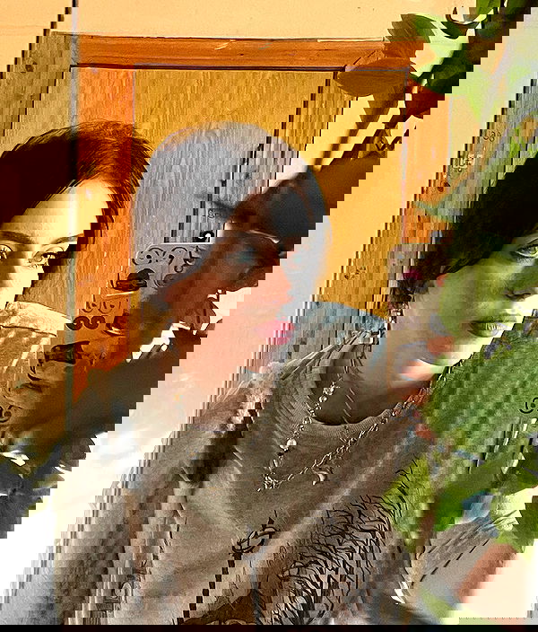 howeversnowy howeversnowy archive image