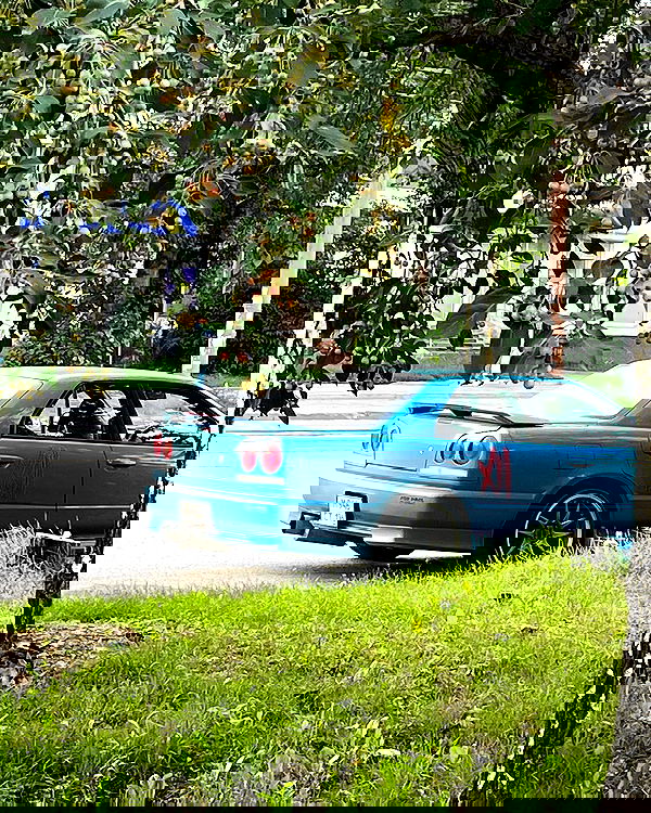 howeversnowy howeversnowy archive image