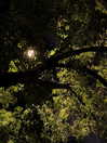 howeversnowy Altpins Profile Picture