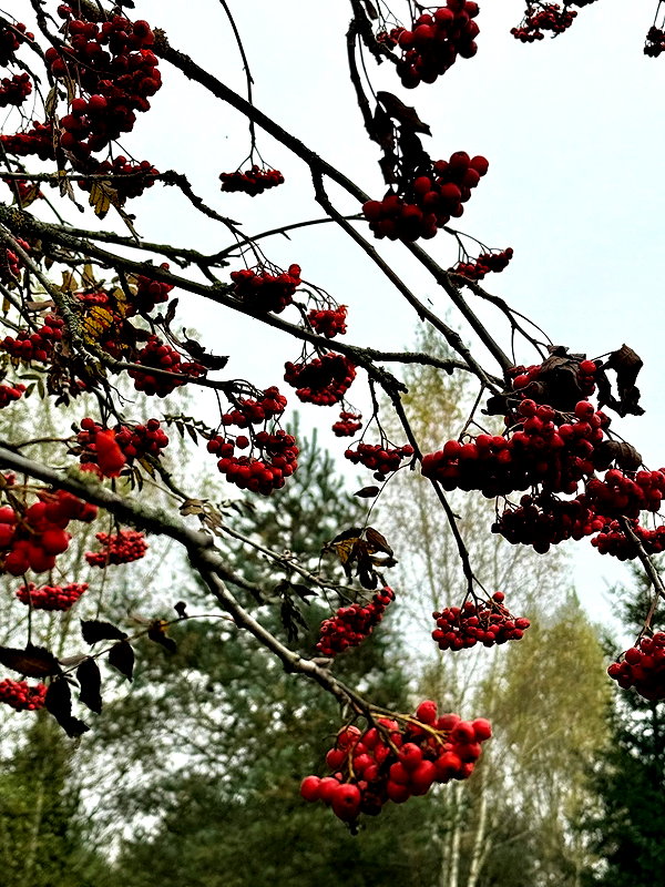 howeversnowy instagram image archive image